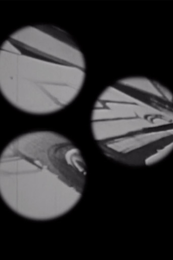 Fairly Strong on the Wing poster