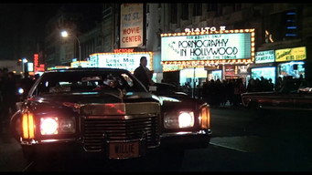 #5 Willie Dynamite