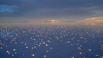 Materia Prima (2026)