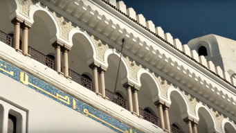 #8 Hidden Algeria