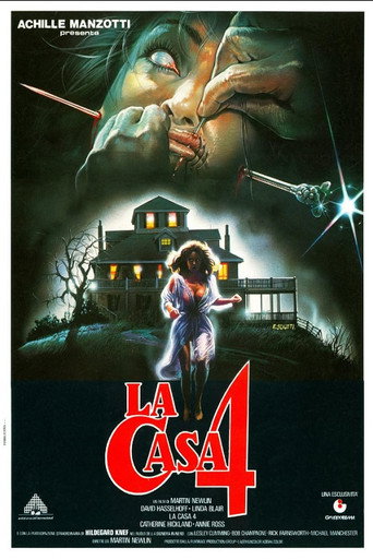 La casa 4 — Pôsteres 17