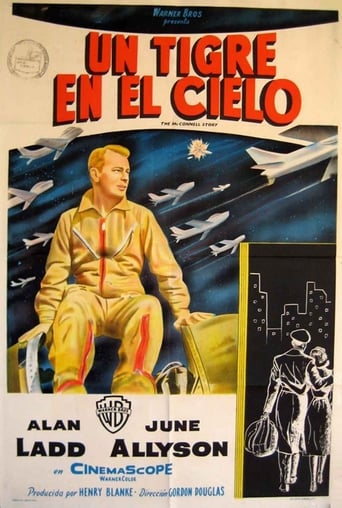 Poster of Un tigre en el cielo