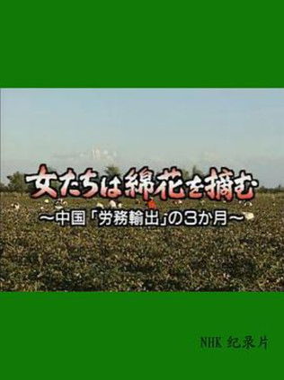 女たちは綿花を摘む -中国“労務輸出”の3ヶ月- poster