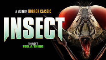 Insect media image