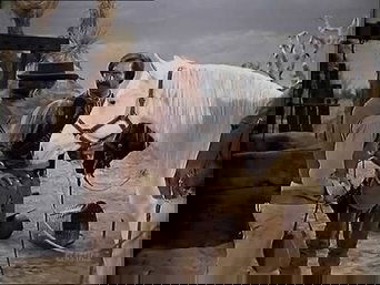 Imagem do episódio