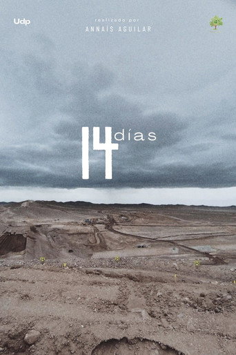 14 Días