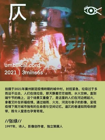 umbilical cord poster