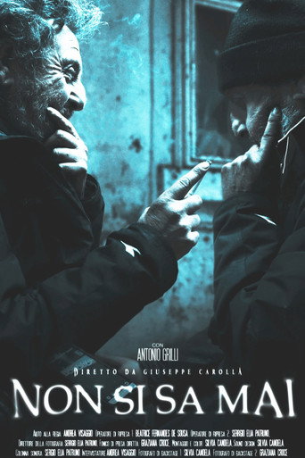 Non si sa mai poster