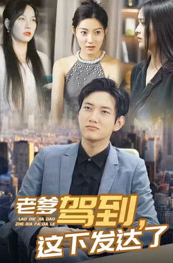 老爹驾到，这下发达了 poster