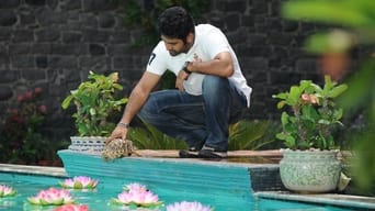 Brindavanam (2010)