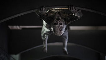 Galeria 5 - The School