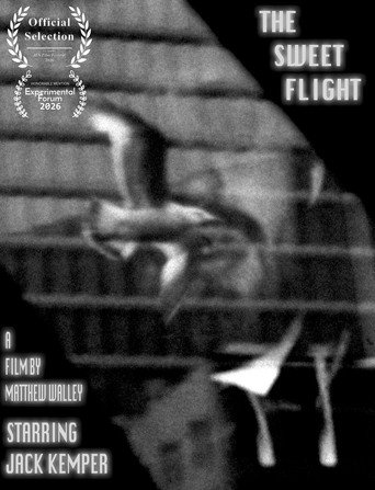 The Sweet Flight galeri 2