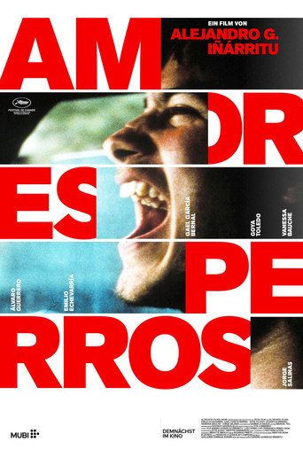 Amores perros