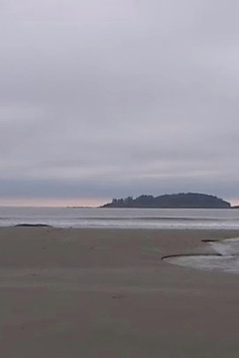 Landscape Tempos 1-7 (2016)