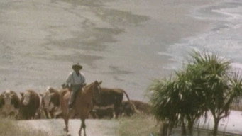 Ngati (1987)
