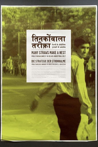 Many Straws Make a Nest: Proletarian Unrest in Delhi’s Industrial Belt poster