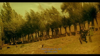 #13 The Pear Tree