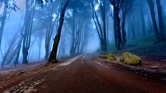 These Woods Are Haunted - S3E01