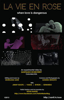 La vie en rose poster