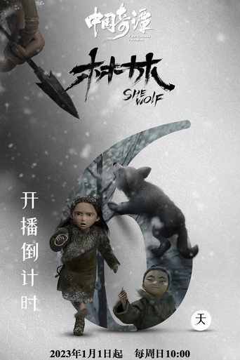 Affiche de 林林