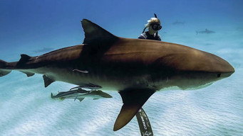 #5 Saving Jaws