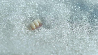 Smiling Georgia (2023)