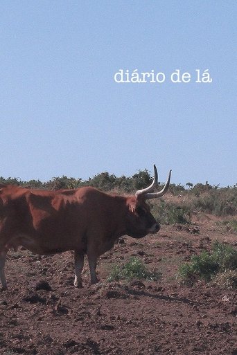 Diary From There