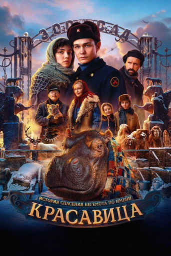 movie poster for Красавица