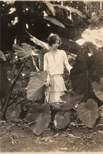 Na Primavera da Vida