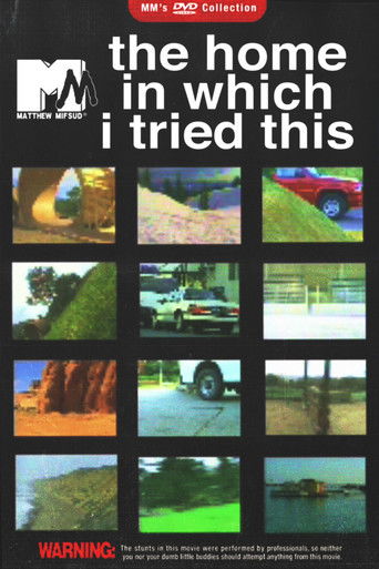 The Home In Which I Tried This poster