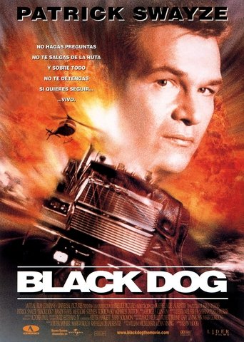 Poster of Black Dog