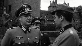 #5 The Last Blitzkrieg