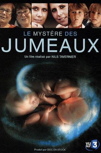 Le myst&egrave;re des jumeaux (2009)