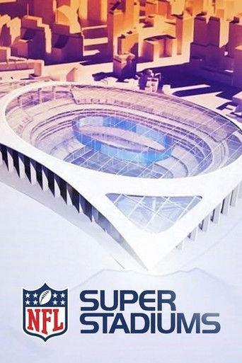 NFL Super Stadiums poster