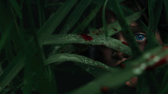In the Tall Grass backdrop 7