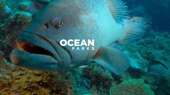 Ocean Parks (2016- )