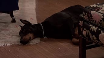 Cena de Episódio 11