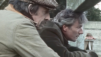 Episode 31 — Episode 31