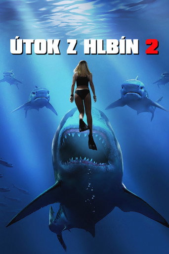 Poster 5