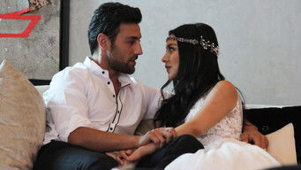 Episode 5 — Episode 5