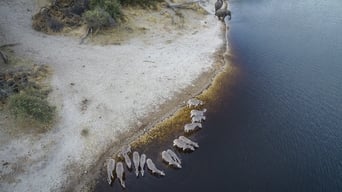 #11 Into The Okavango