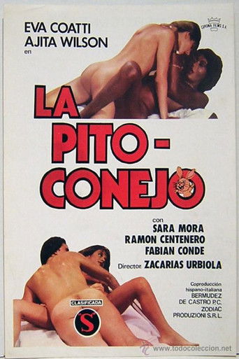 La Pito-conejo poster