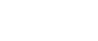 Tiger and Dragon logo