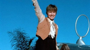 Amelia Earhart: The Final Flight (1994)
