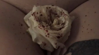 Amityville Vibrator (2020)