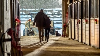 Galeria 2 - A casa por Navidad