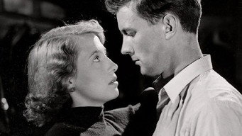 Dei svarte hestane (1951)