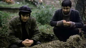 My Dear Brother (1973)