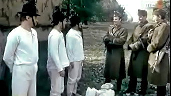Appassionata (1984)
