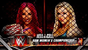 #5 WWE Hell in a Cell